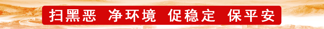 扫黑恶，净环境，促稳定，保平安